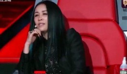 最新爆料那英过往事件视频